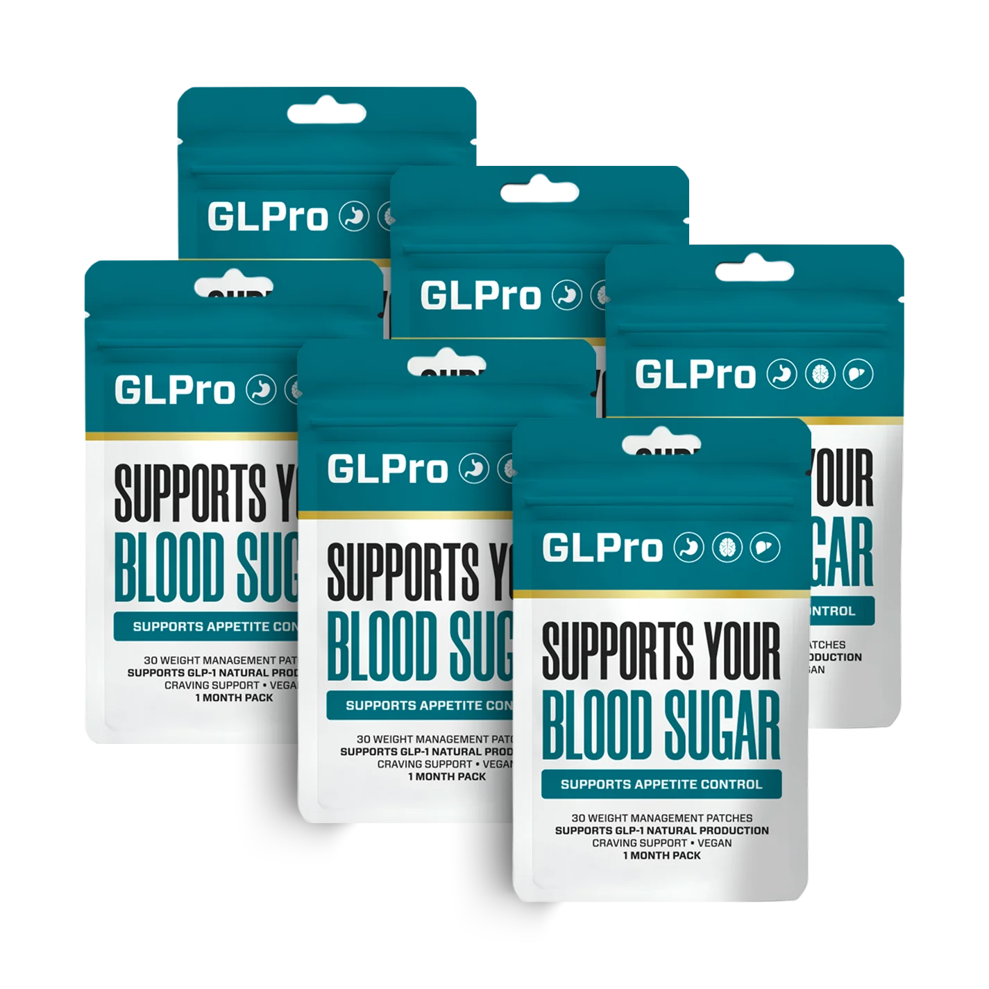 GLPro Patches 6-pack